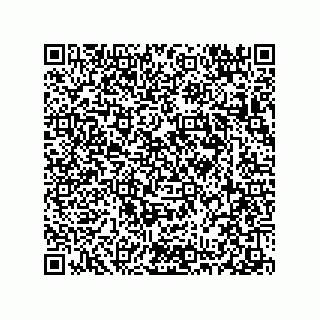 vCard 78313237939