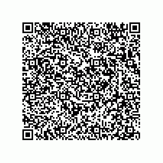 vCard 78313237940