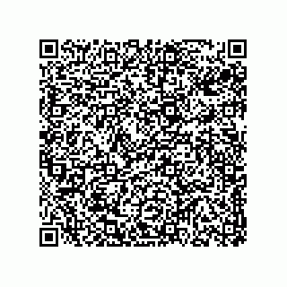 vCard 78313237941