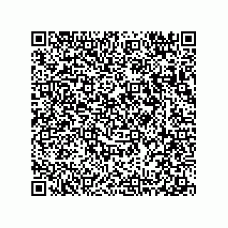vCard 78313237977