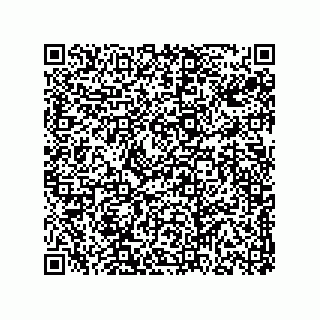 vCard 78313237979