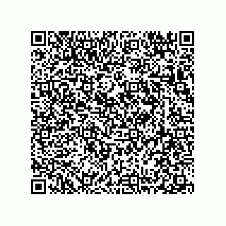 vCard 78313237980