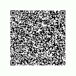 vCard 78313237981