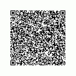 vCard 78313237994