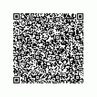 vCard 78313237996
