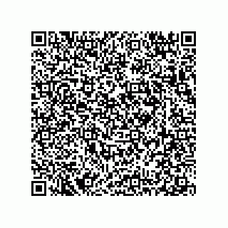 vCard 78313237999