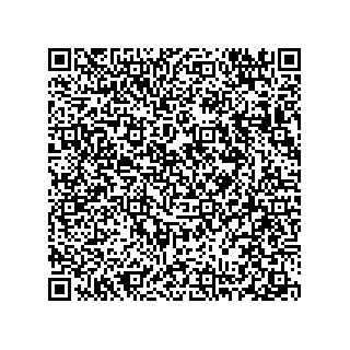 vCard 78313238007