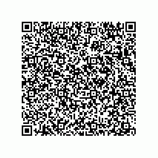 vCard 78313238011