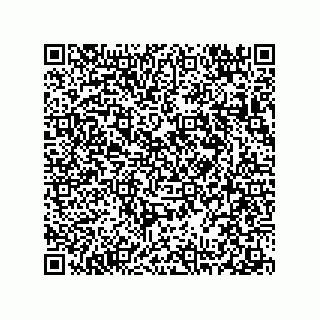 vCard 78313238015