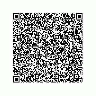 vCard 78313238016