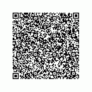 vCard 78313238019