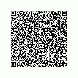 vCard 78313238020