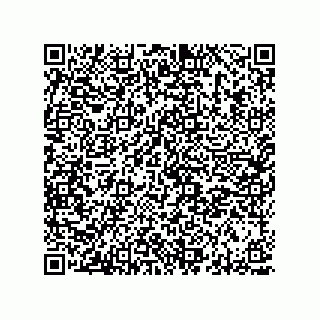 vCard 78313238021