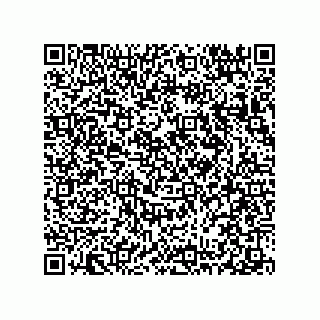 vCard 78313238027