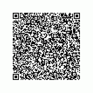 vCard 78313238028