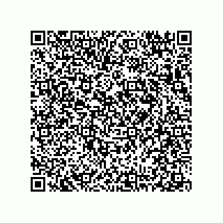 vCard 78313238029
