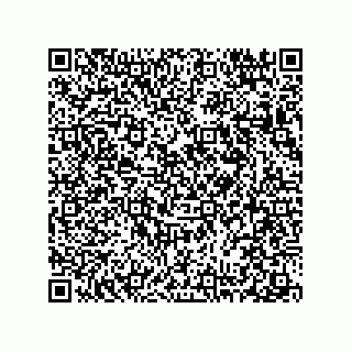 vCard 78313238032