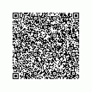 vCard 78313238033