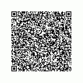 vCard 78313238034