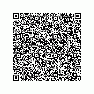 vCard 78313238039