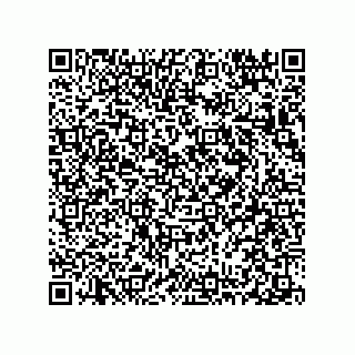 vCard 78313238040