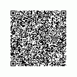 vCard 78313238041
