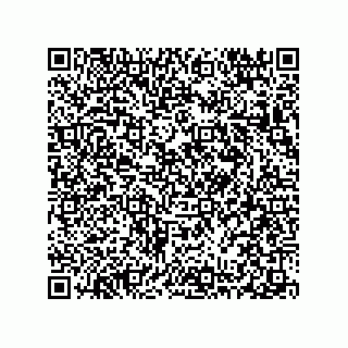 vCard 78313238061