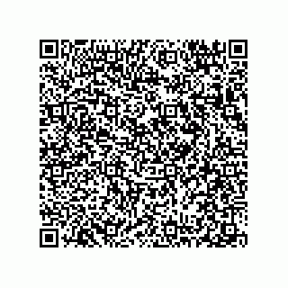 vCard 78313238062