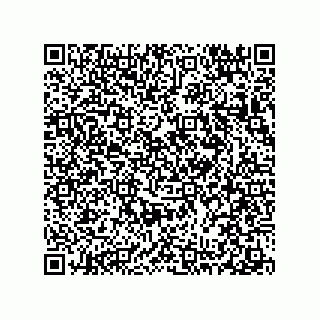 vCard 78313238073