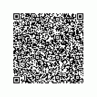 vCard 78313238076