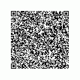 vCard 78313238077