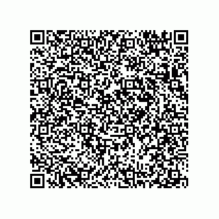 vCard 78313238079