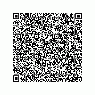 vCard 78313238080