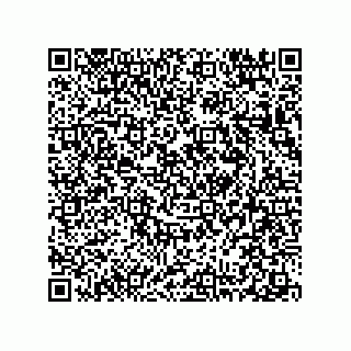 vCard 78313238093