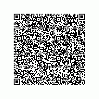 vCard 78313238095
