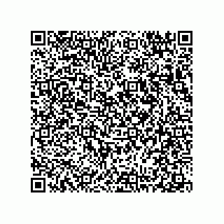vCard 78313238096