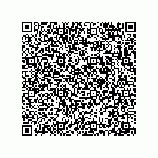 vCard 78313238101
