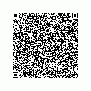 vCard 78313238103