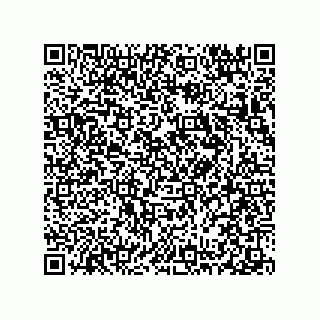 vCard 78313238128