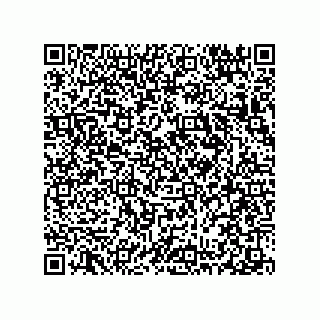 vCard 78313238129
