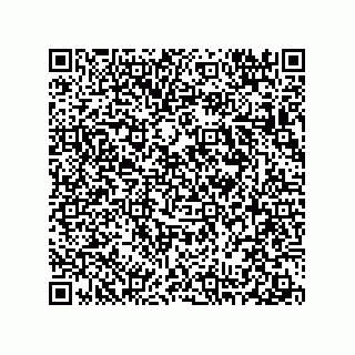 vCard 78313238131