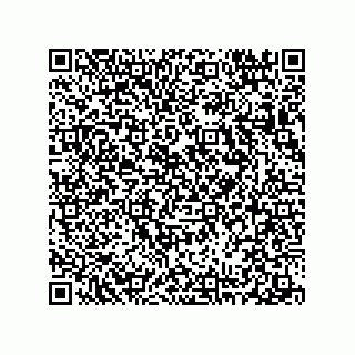 vCard 78313238133