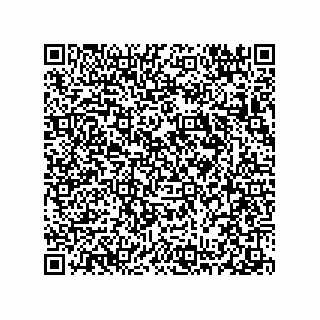 vCard 78313238138