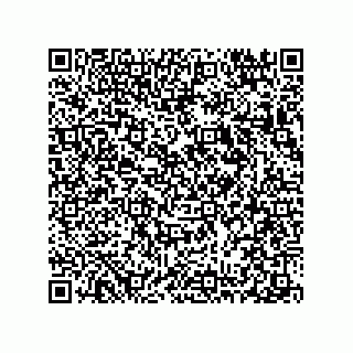 vCard 78313238174
