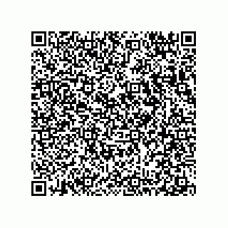 vCard 78313238177