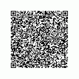 vCard 78313238179