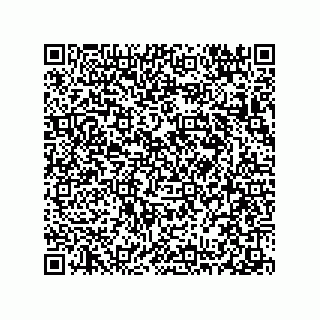 vCard 78313238219