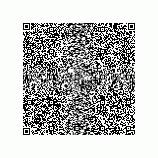 vCard 78313239533