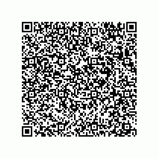 vCard 78313271729