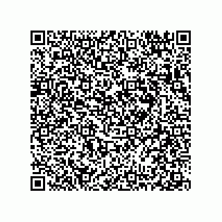 vCard 78313271744